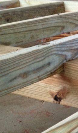 The Country Cabins Advantage | Shed Squad of Somerset Kentucky